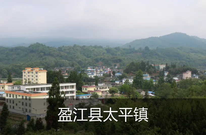 盈江县太平镇