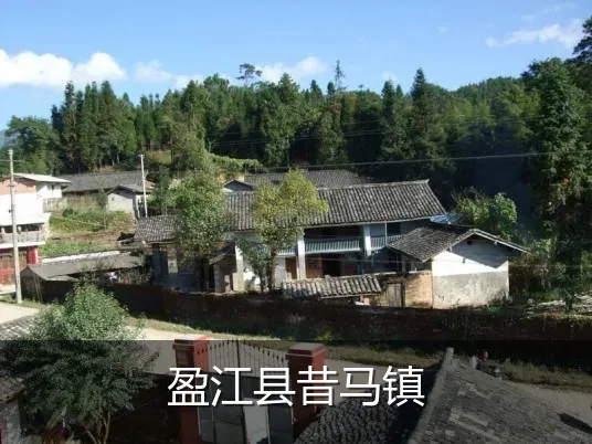 盈江县昔马镇