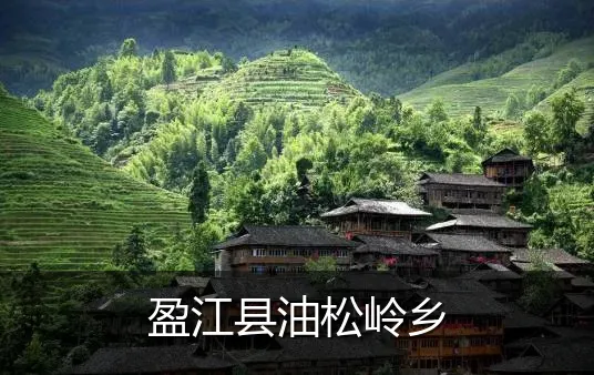 盈江县油松岭乡