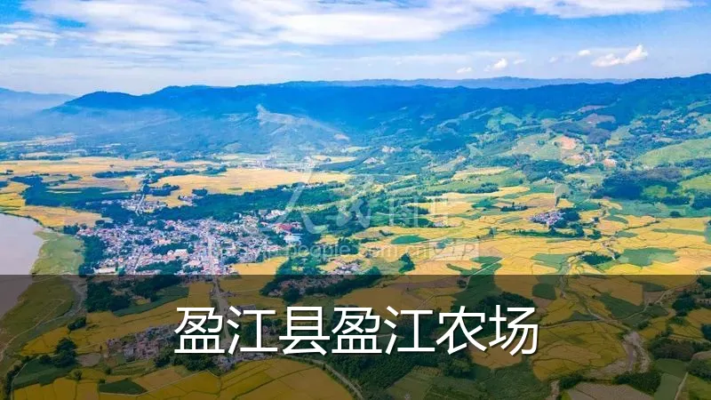 盈江县盈江农场