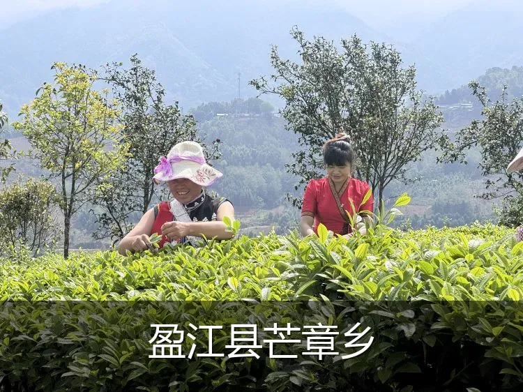 盈江县芒章乡